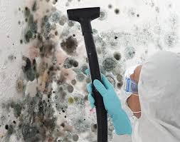 Environmental Consulting for Mold Prevention in Shawneetown, IL